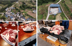 食物平安关乎平易近生福祉依法整治迫正在眉睫